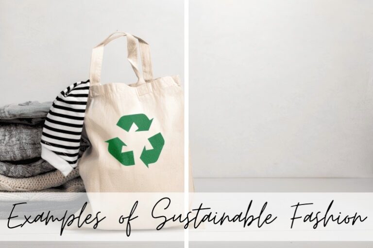  Zielony cud odrodzony z ruin: Jak FUSH˚ tworzy 2000㎡ punkt odniesienia dla zrównoważonej produkcji odzieży